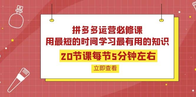 拼多多运营必修课：20节课每节5分钟左右，用最短的时间学习最有用的知识柒柒网创吧-网创项目资源站-副业项目-创业项目-搞钱项目柒柒网创吧