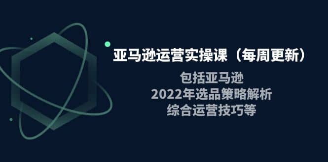 亚马逊运营实操课（每周更新）包括亚马逊2022选品策略解析，综合运营技巧等柒柒网创吧-网创项目资源站-副业项目-创业项目-搞钱项目柒柒网创吧