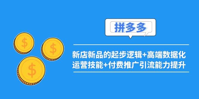 2022拼多多：新店新品的起步逻辑+高端数据化运营技能+付费推广引流能力提升柒柒网创吧-网创项目资源站-副业项目-创业项目-搞钱项目柒柒网创吧