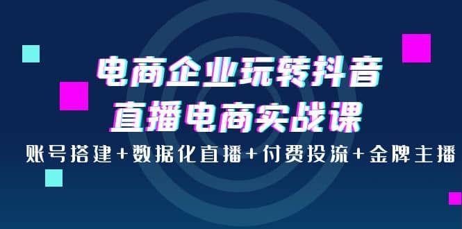 电商企业玩转抖音直播电商实战课：账号搭建+数据化直播+付费投流+金牌主播柒柒网创吧-网创项目资源站-副业项目-创业项目-搞钱项目柒柒网创吧