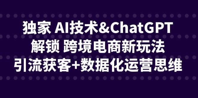 独家 AI技术ChatGPT解锁 跨境电商新玩法，引流获客+数据化运营思维柒柒网创吧-网创项目资源站-副业项目-创业项目-搞钱项目柒柒网创吧